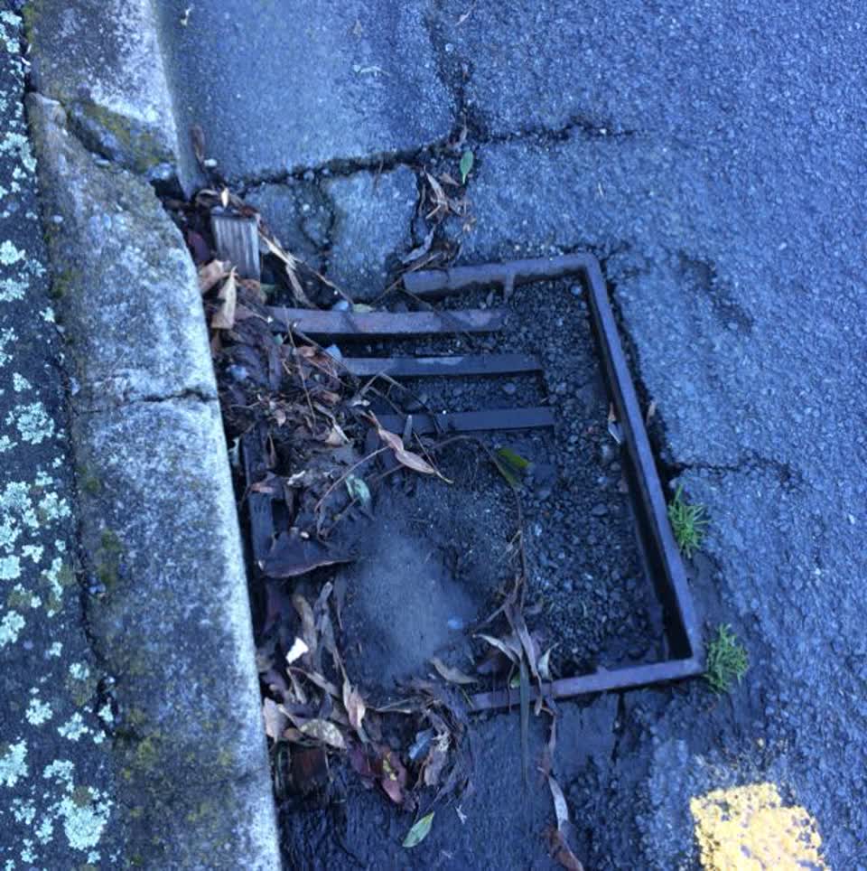 The photograph attached to this wastewater/stormwater report