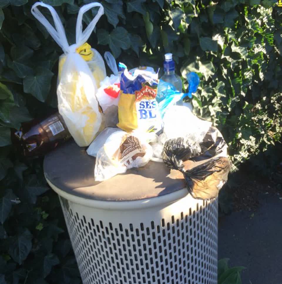 The photograph attached to this rubbish/recycling report