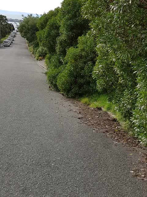 Roading/Streets, a report photo