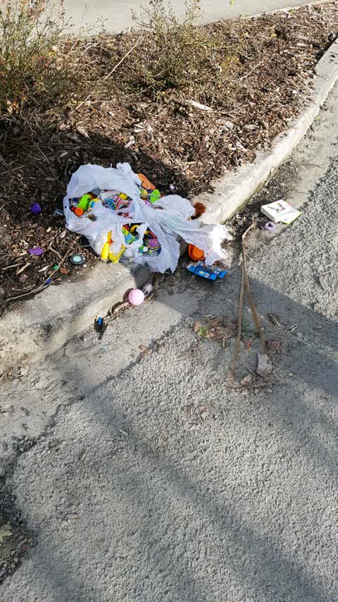 Rubbish/Recycling, a report photo