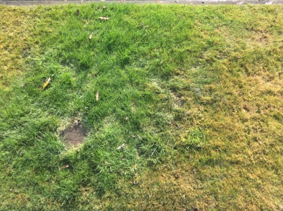 The photograph attached to this water supply report