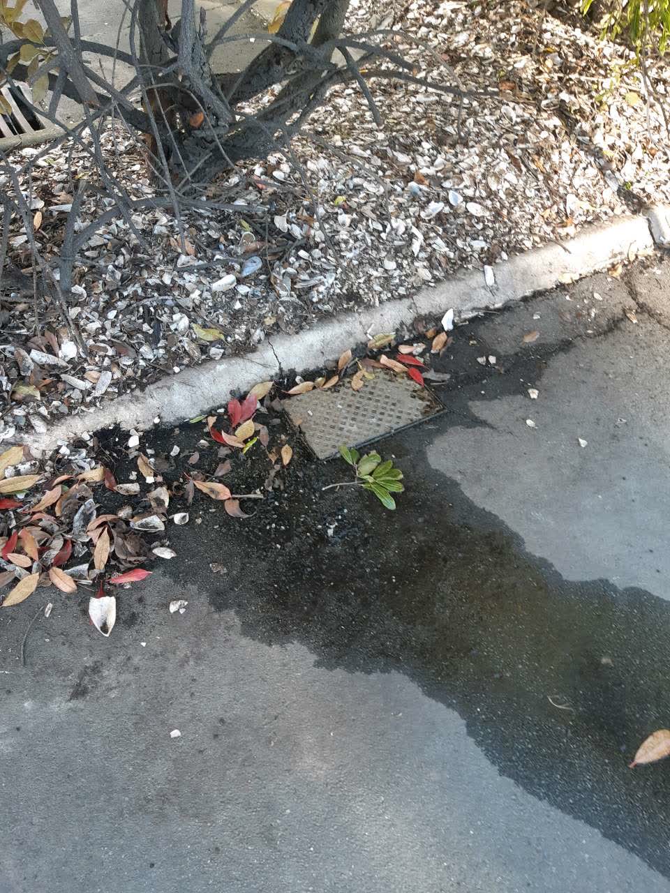 The photograph attached to this water supply report