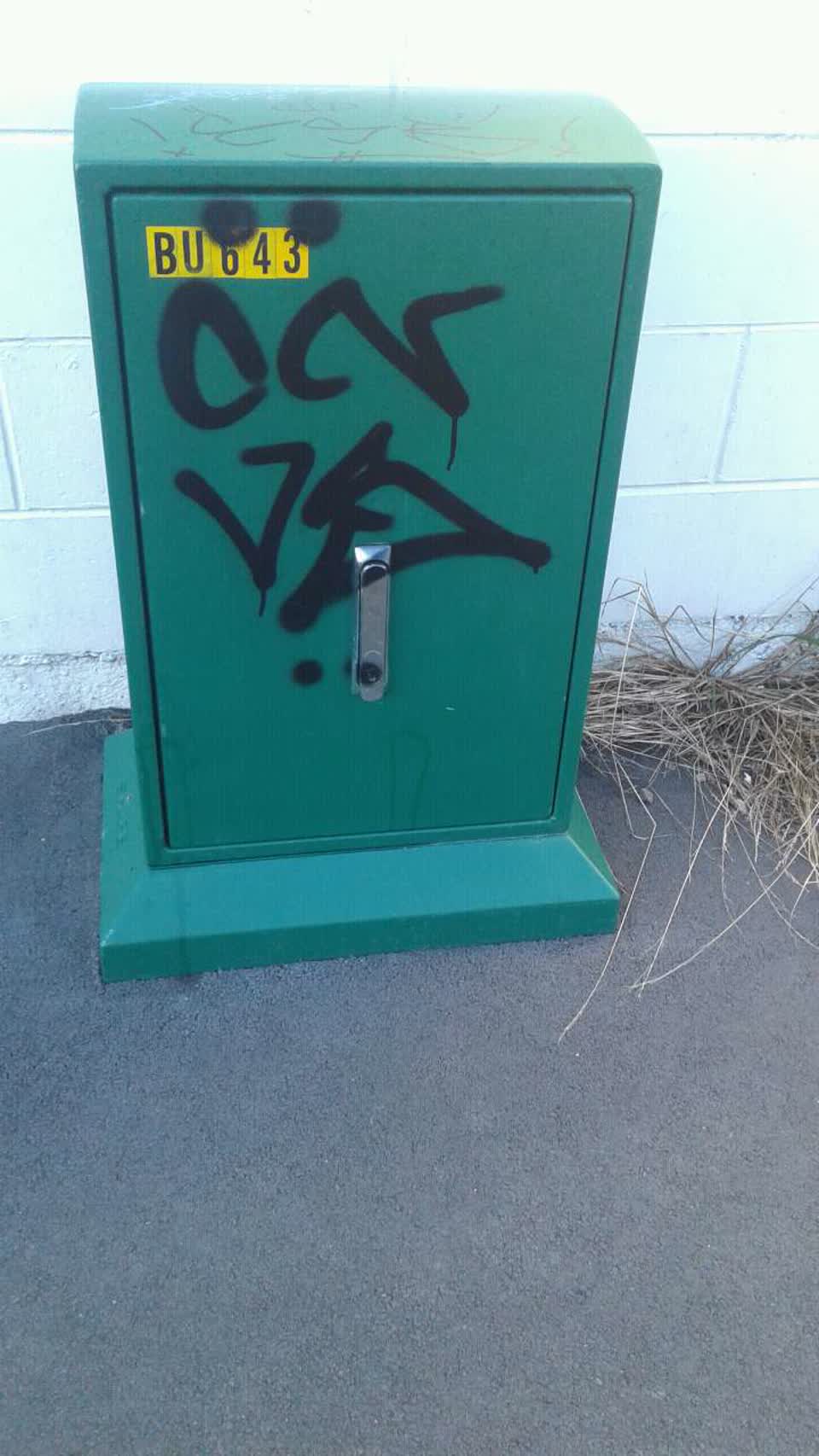 The photograph attached to this graffiti report