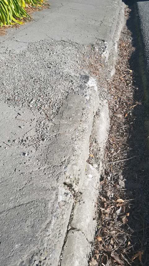 Roading/Streets, a report photo