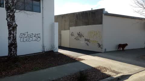 Graffiti, a report photo