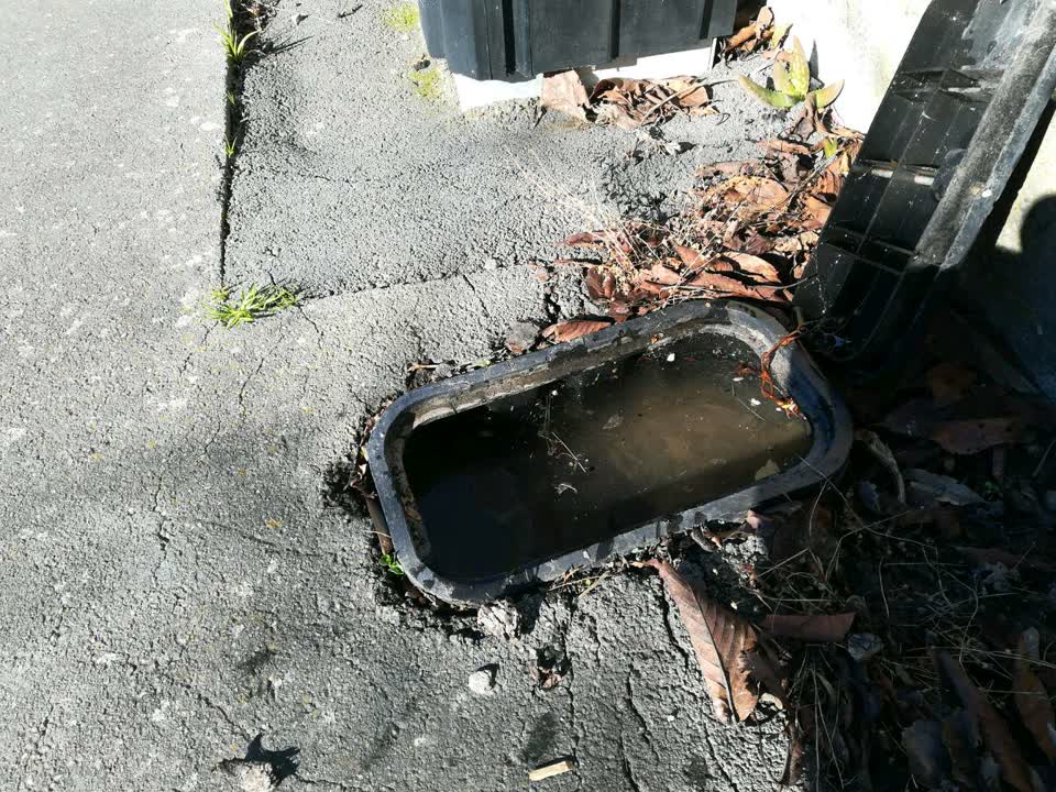 The photograph attached to this water supply report