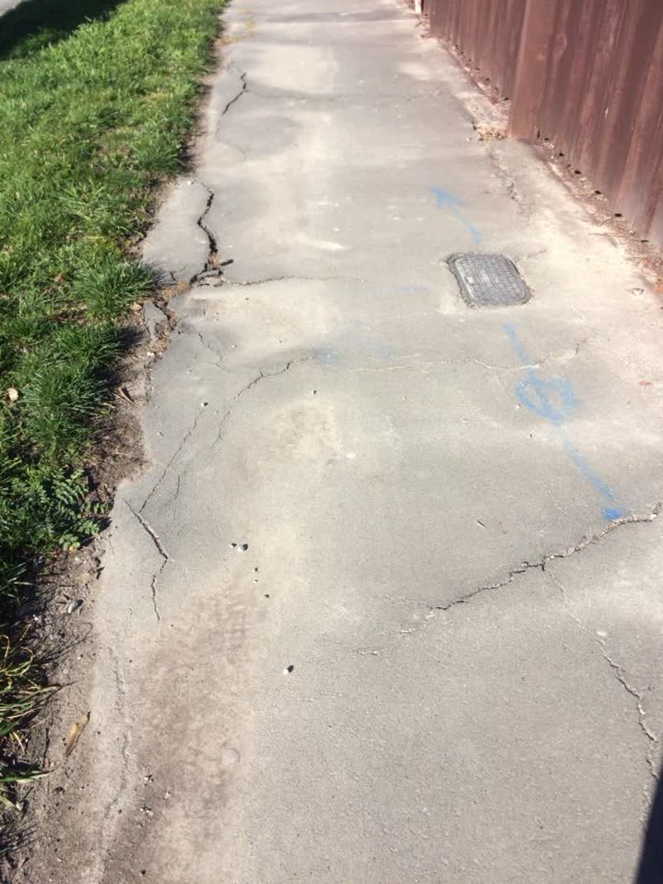 The photograph attached to this roading/streets report