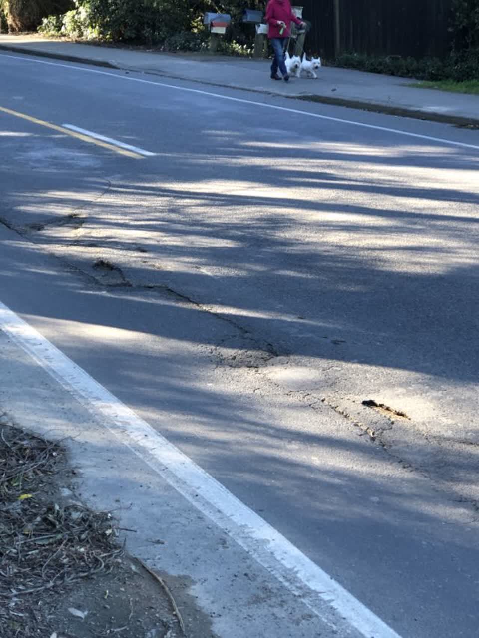 The photograph attached to this roading/streets report