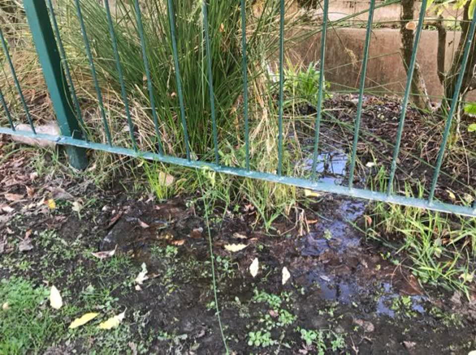The photograph attached to this water supply report