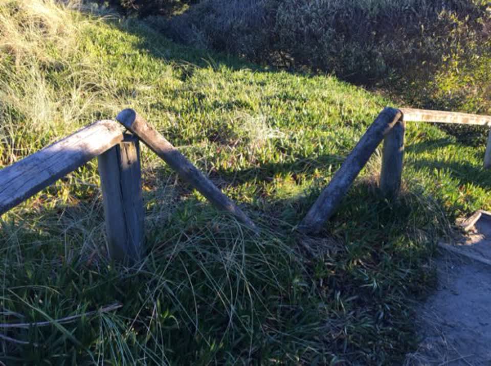 The photograph attached to this parks report