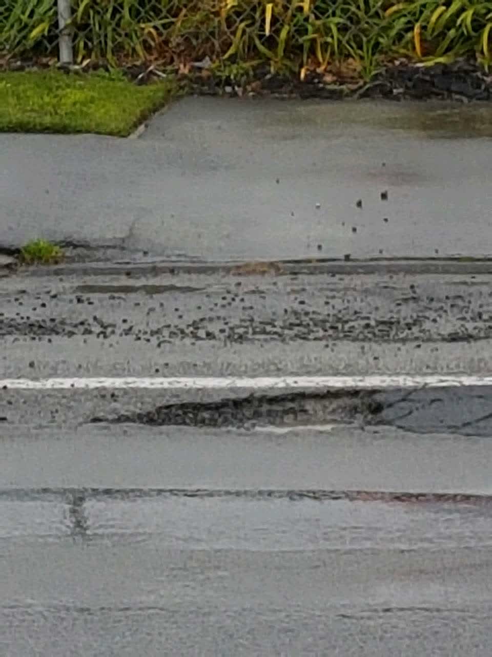 The photograph attached to this parks report