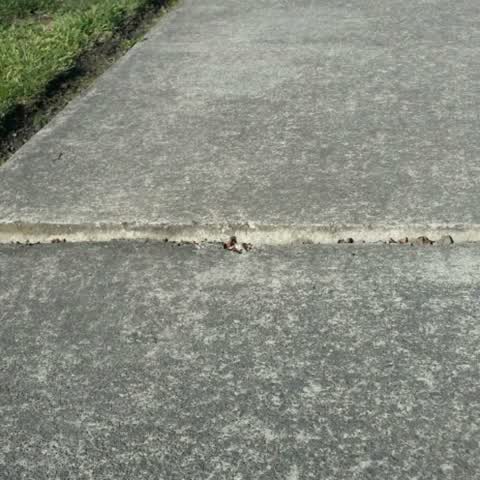 Roading/Streets, a report photo