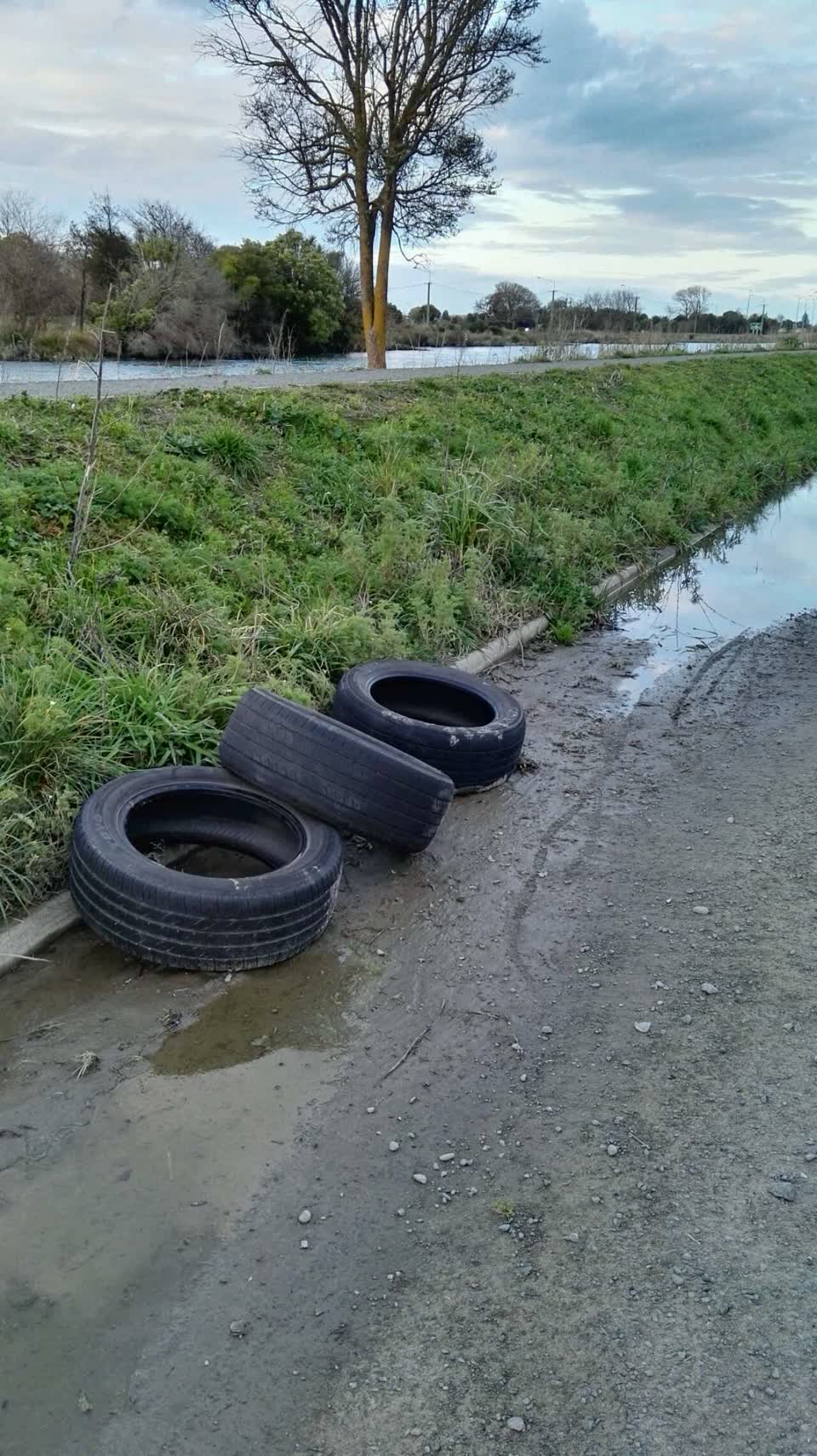 The photograph attached to this rubbish/recycling report