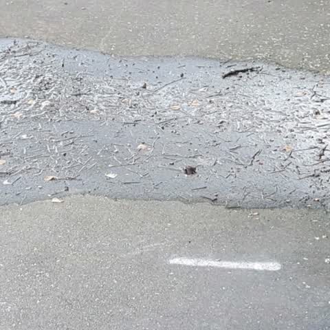 Wastewater/Stormwater, a report photo