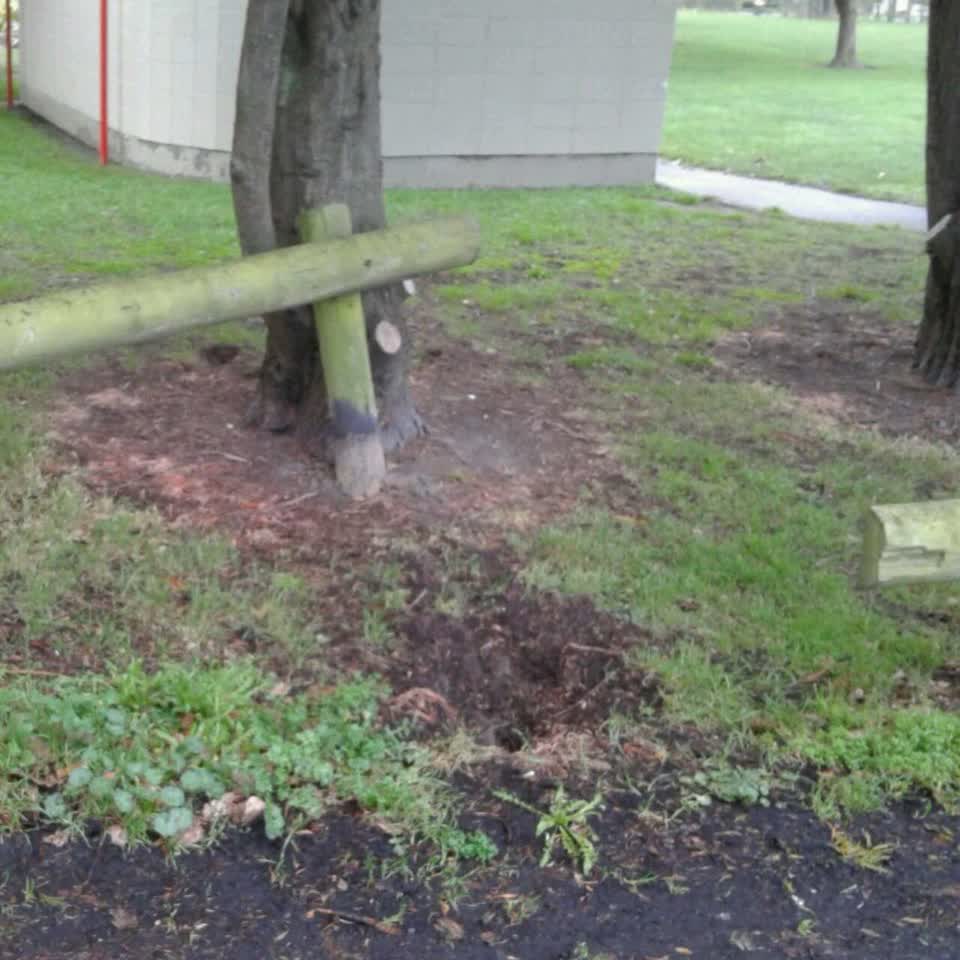 The photograph attached to this parks report