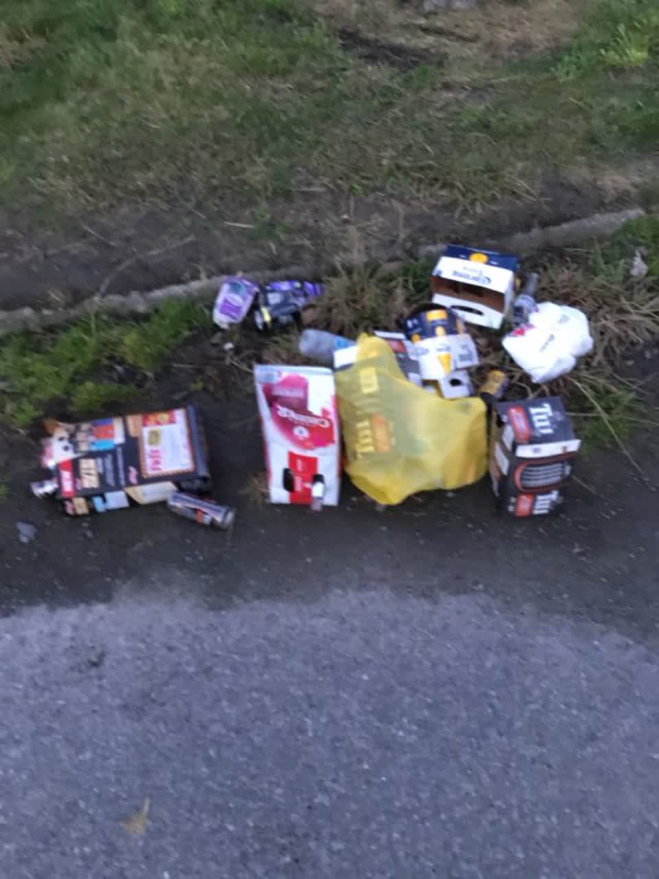 The photograph attached to this rubbish/recycling report