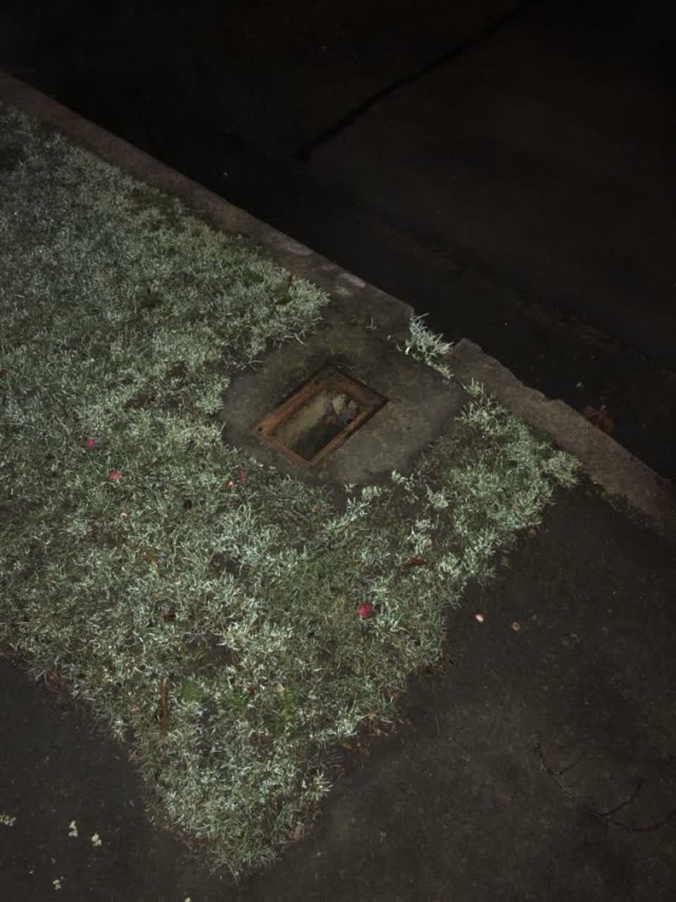 The photograph attached to this water supply report