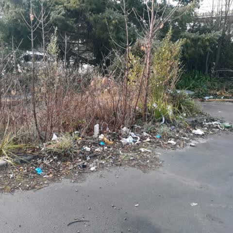Rubbish/Recycling, a report photo