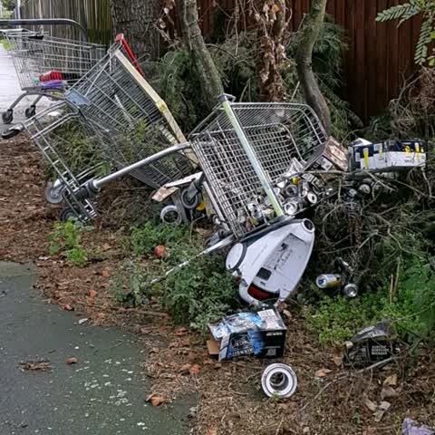 Rubbish/Recycling — a report photo