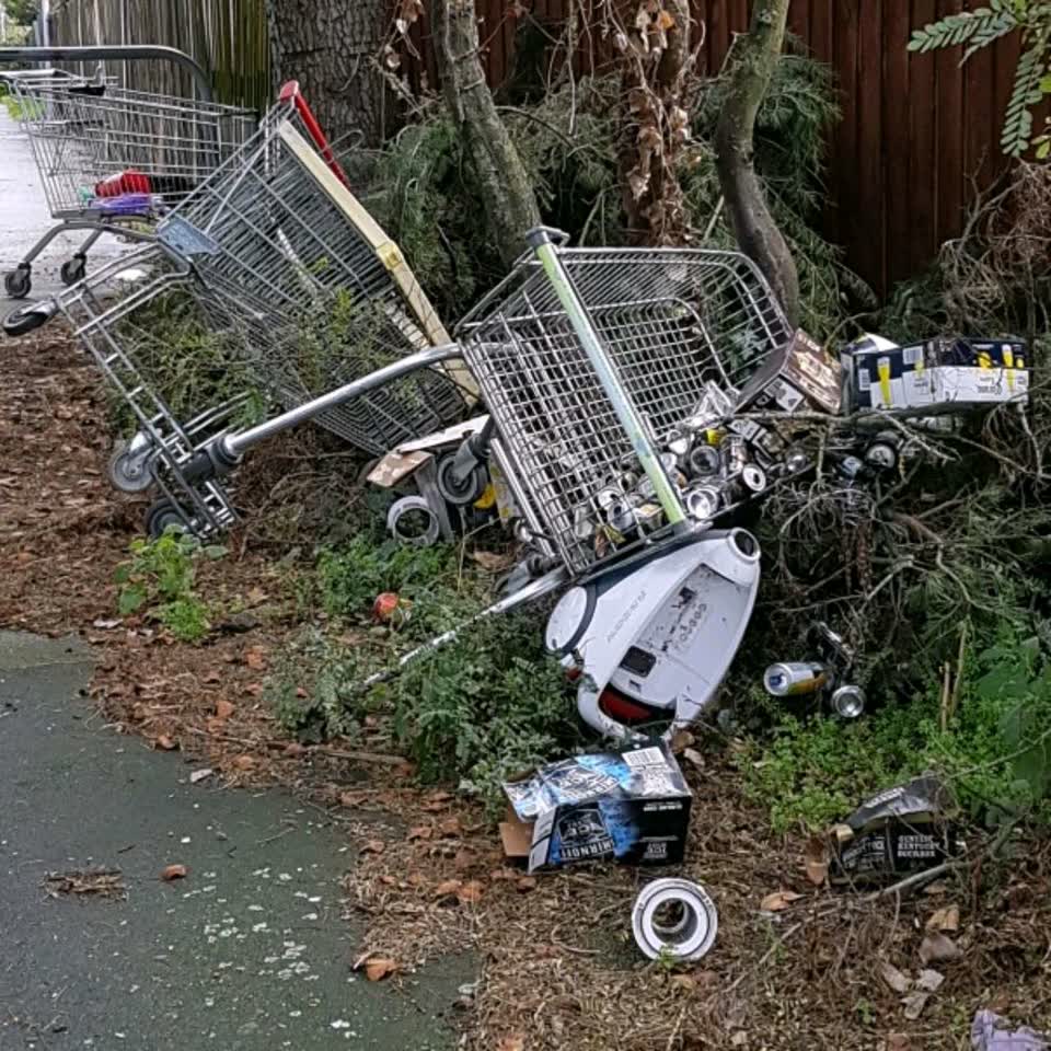 The photograph attached to this rubbish/recycling report