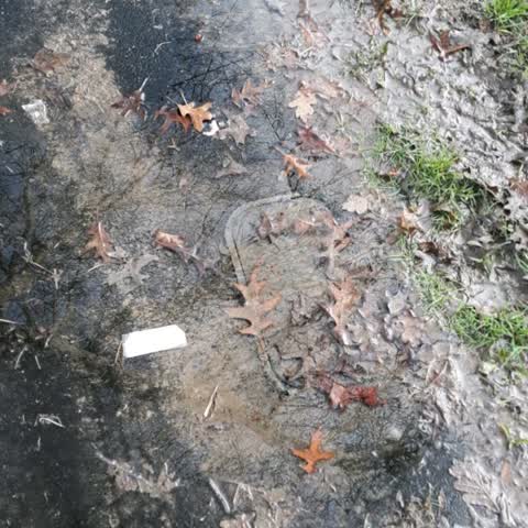 Roading/Streets, a report photo