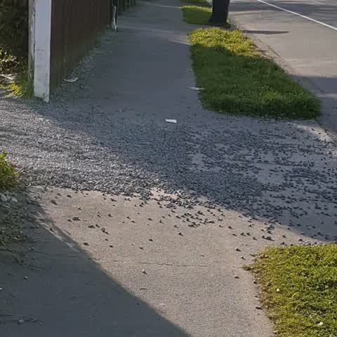 Roading/Streets, a report photo