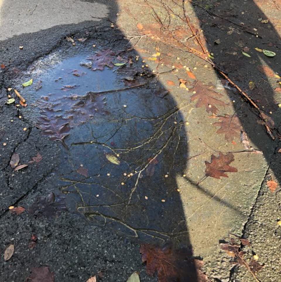 The photograph attached to this wastewater/stormwater report
