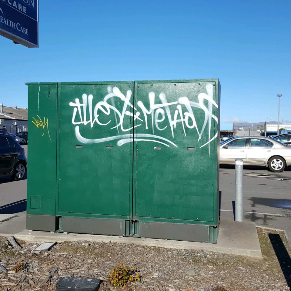 The photograph attached to this graffiti report
