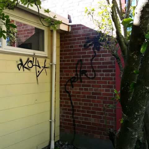 Graffiti, a report photo