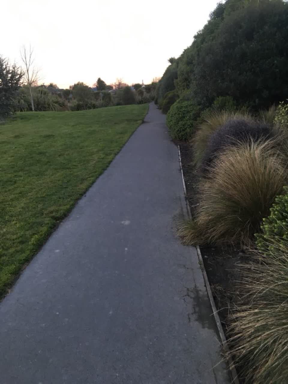 The photograph attached to this parks report