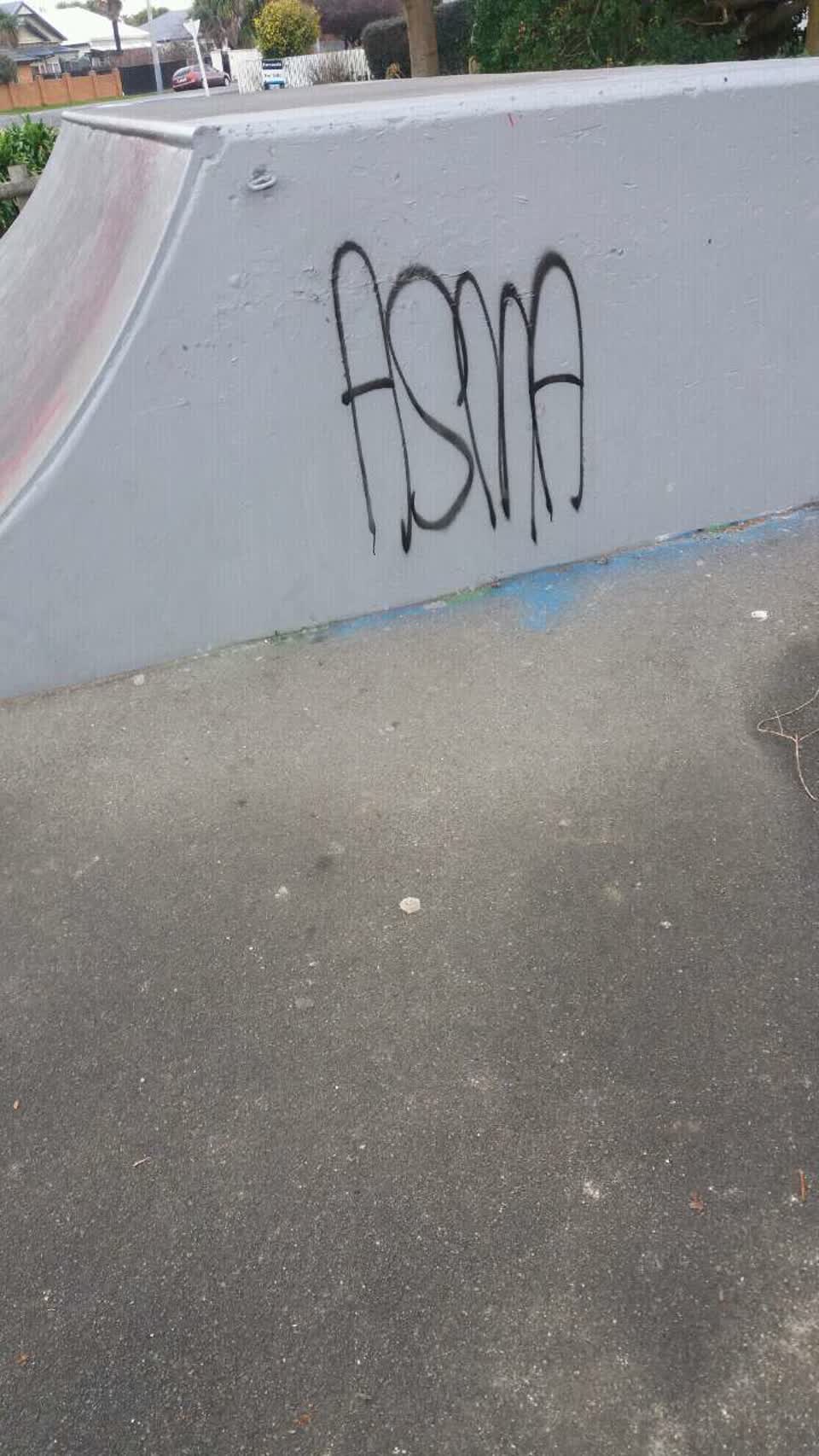 The photograph attached to this graffiti report