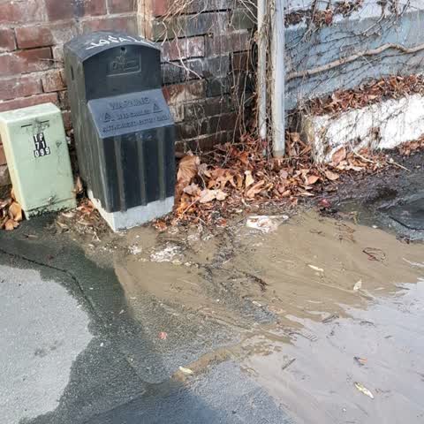 Water Supply, a report photo