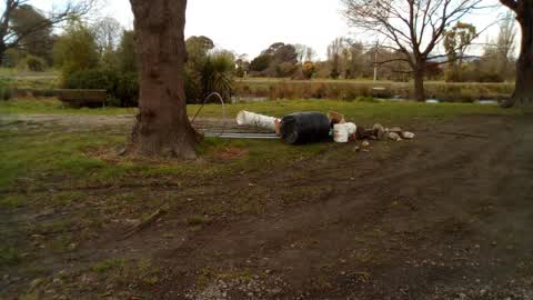 Rubbish/Recycling, a report photo