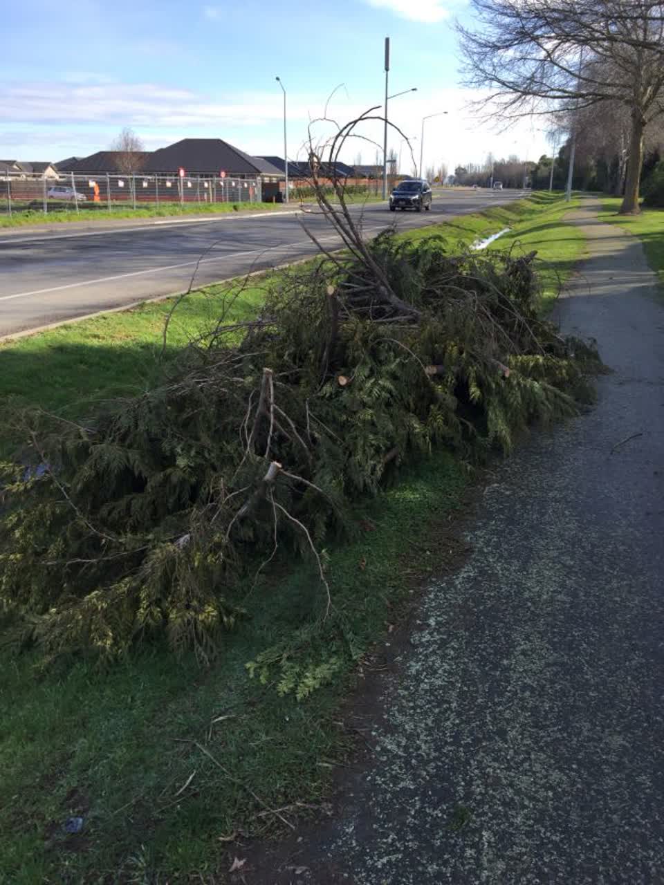The photograph attached to this roading/streets report