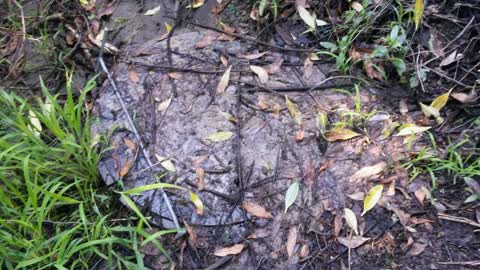 Wastewater/Stormwater, a report photo