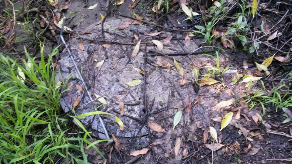 The photograph attached to this wastewater/stormwater report