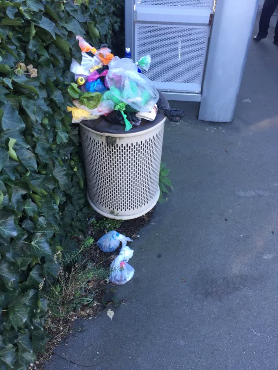 The photograph attached to this rubbish/recycling report