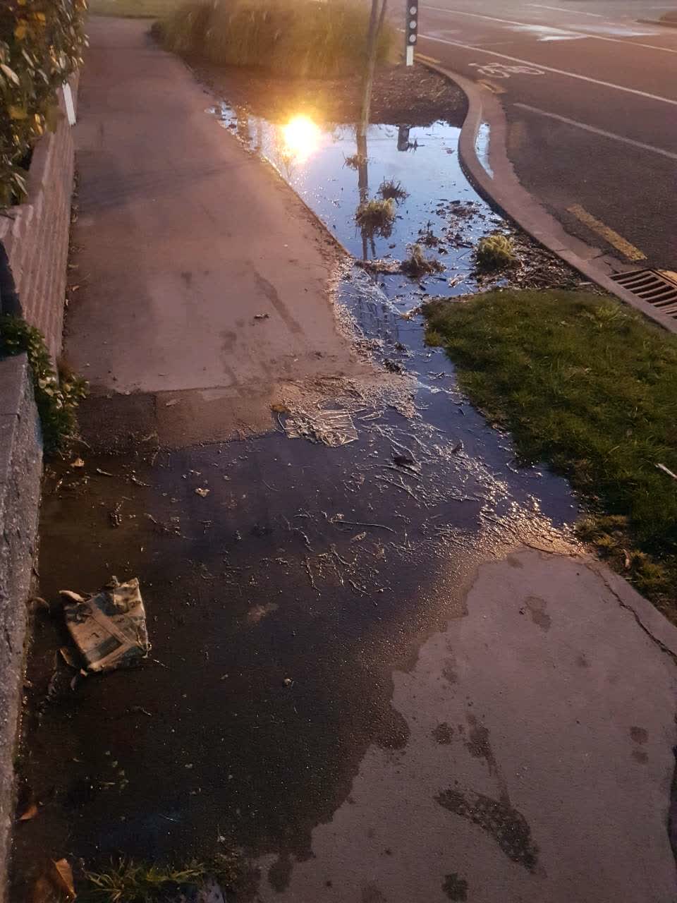 The photograph attached to this water supply report