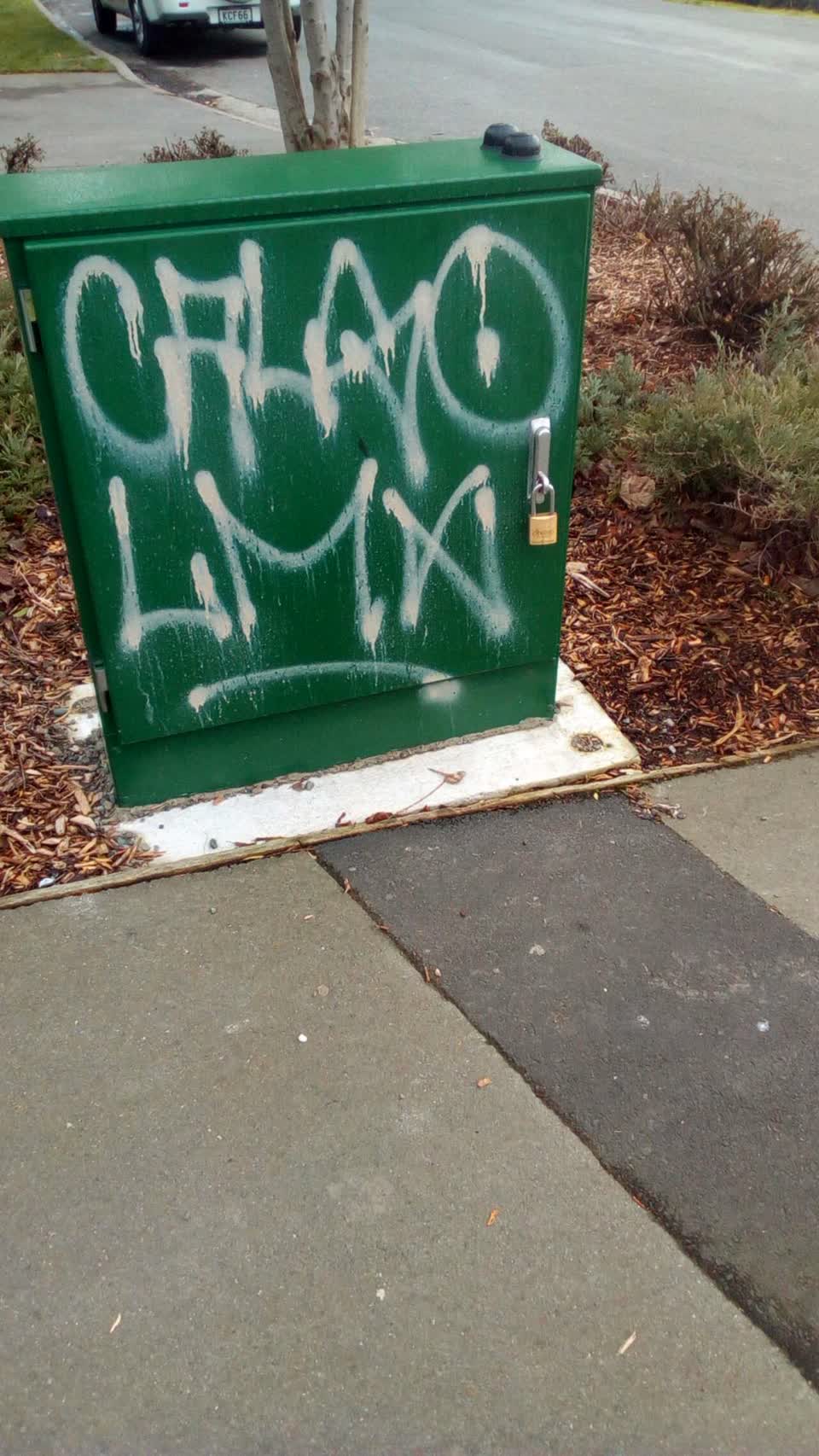 The photograph attached to this graffiti report