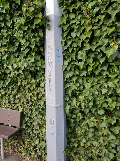 Graffiti, a report photo