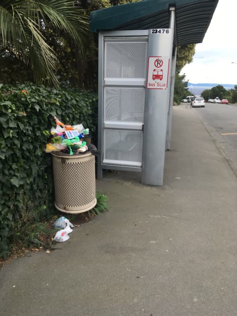 The photograph attached to this rubbish/recycling report