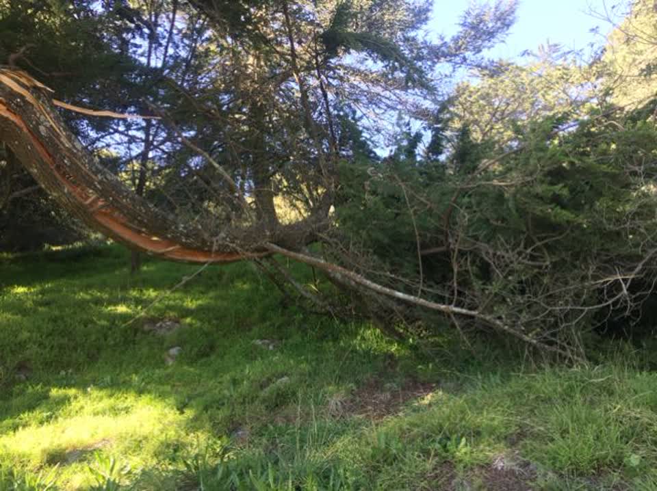 The photograph attached to this parks report