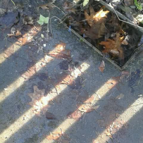 Wastewater/Stormwater, a report photo