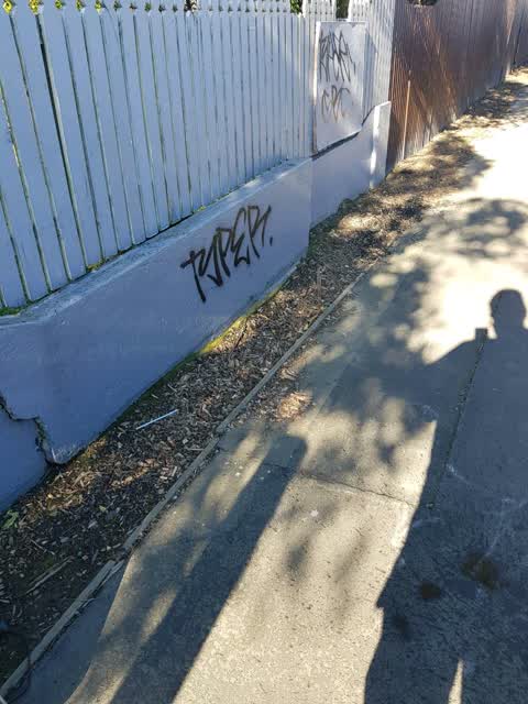 Graffiti, a report photo