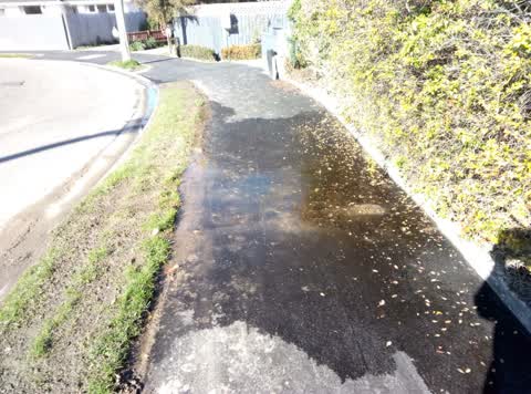 Water Supply, a report photo