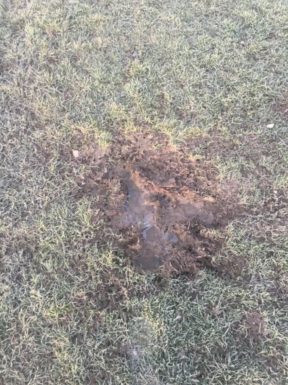 The photograph attached to this parks report