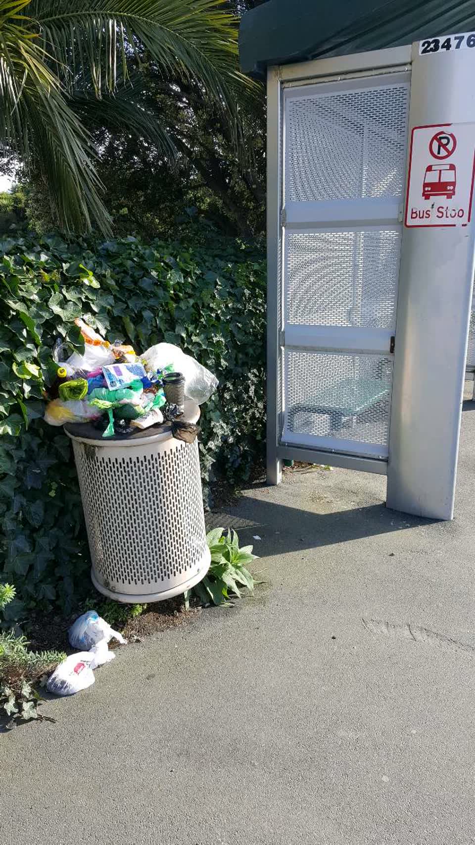 The photograph attached to this rubbish/recycling report