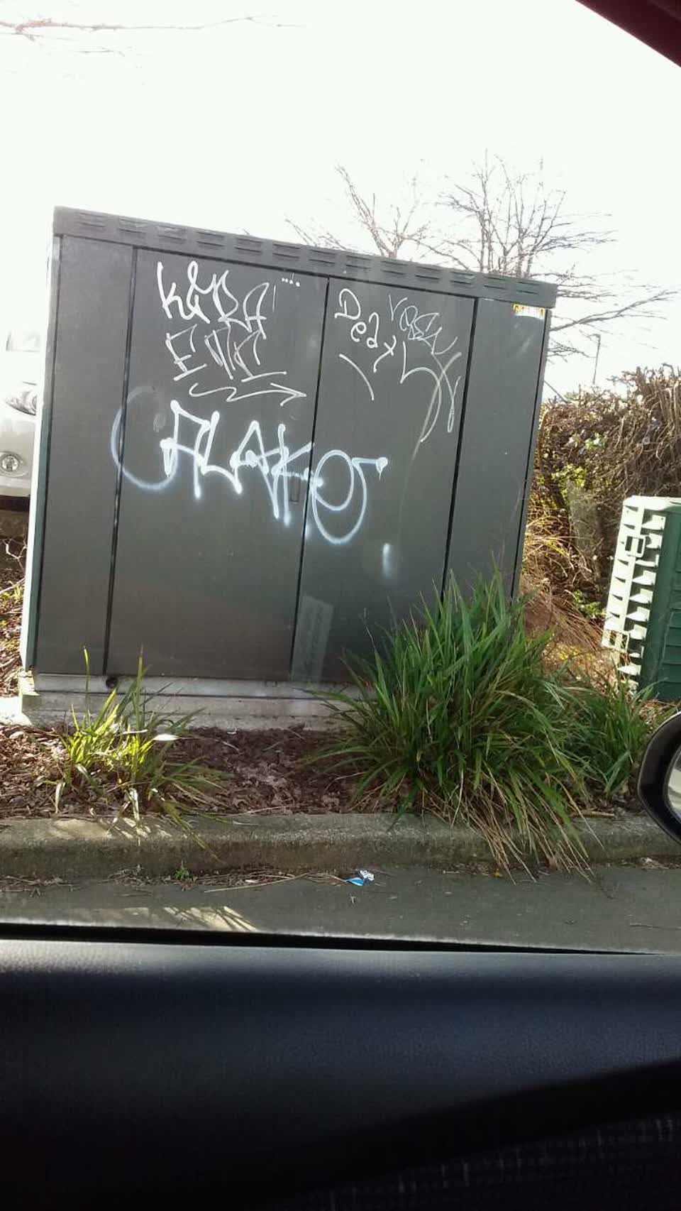 The photograph attached to this graffiti report