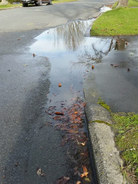 Flooding, a report photo