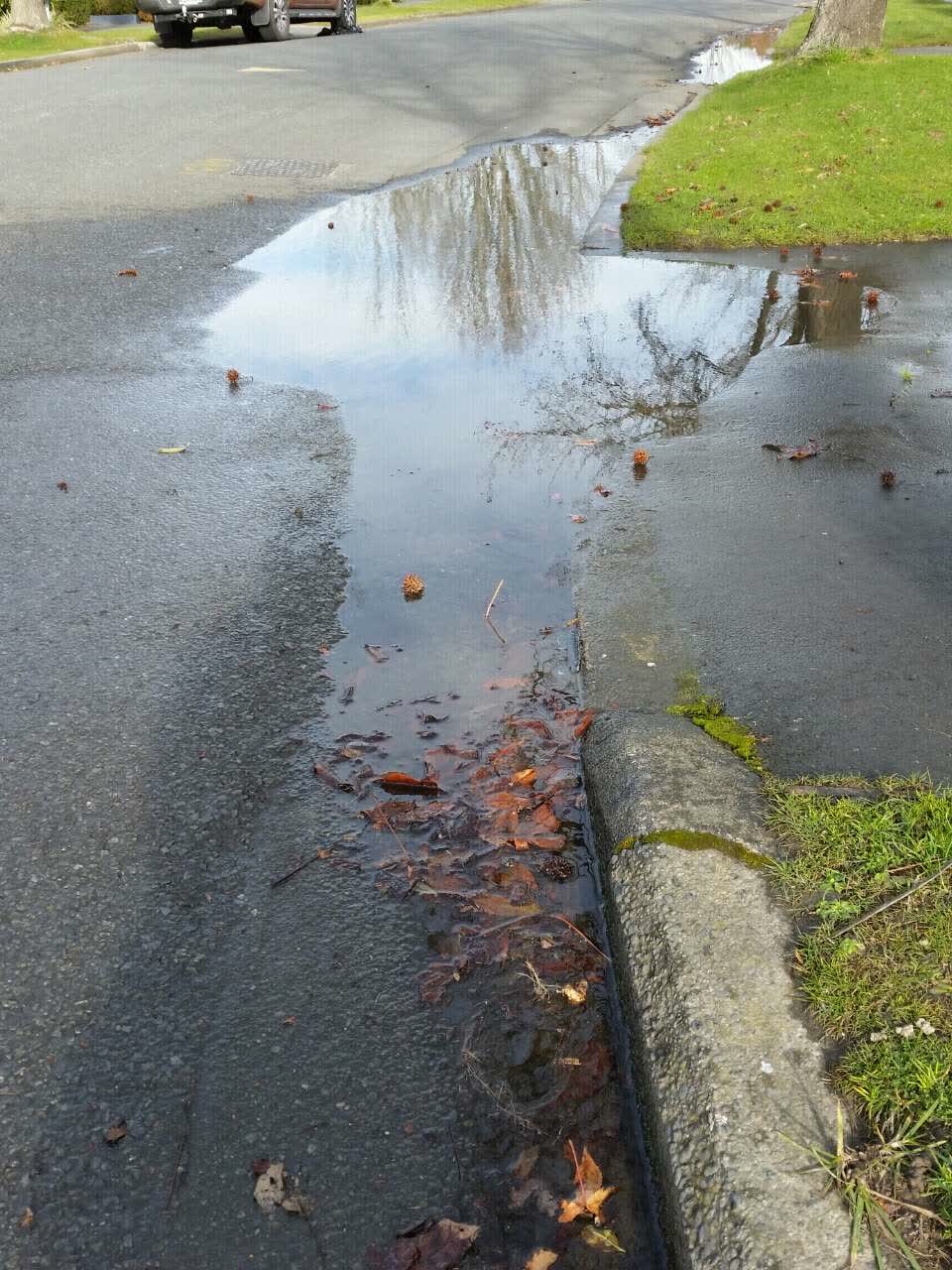 The photograph attached to this flooding report